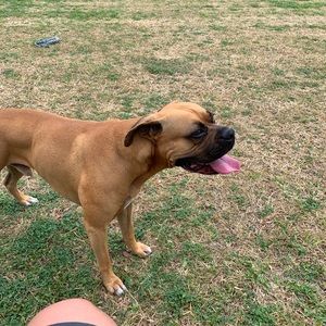 Meet your Posher, Omar